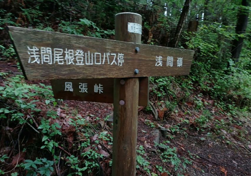 分岐道標