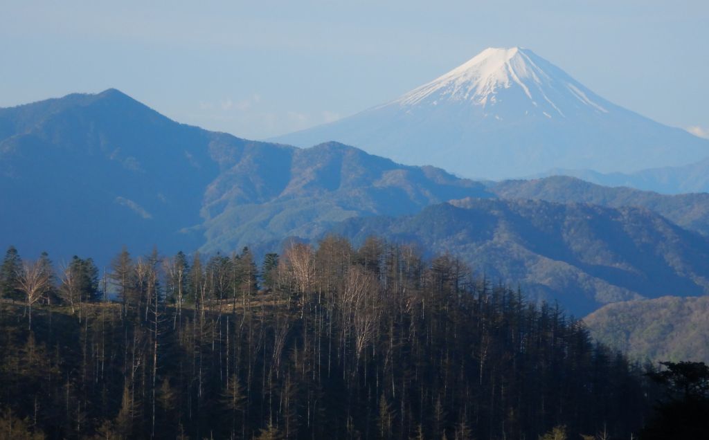 ルートから見えた富士山