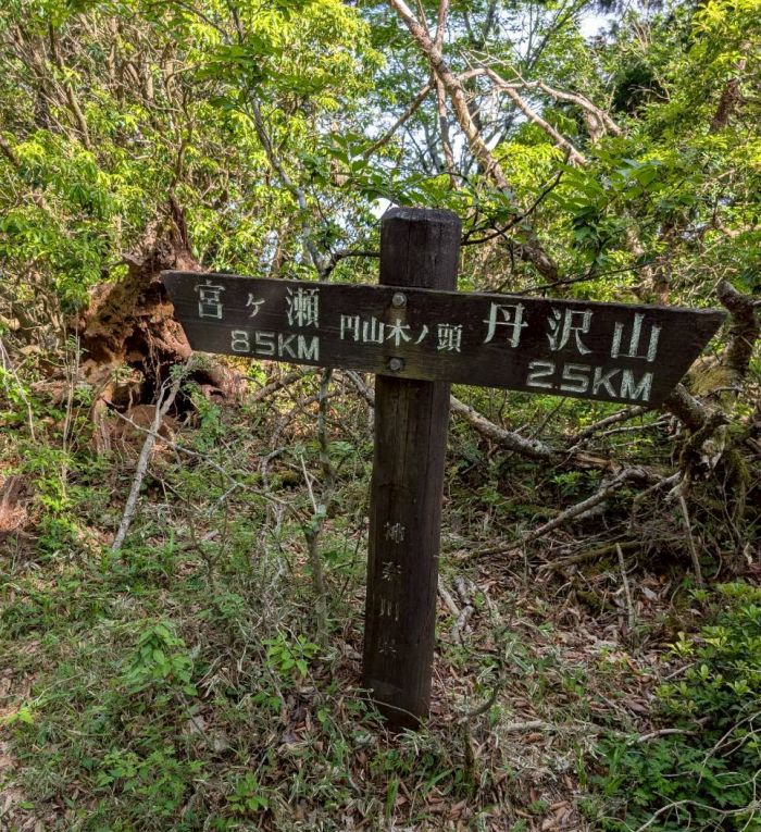 中峰・円山木ノ頭