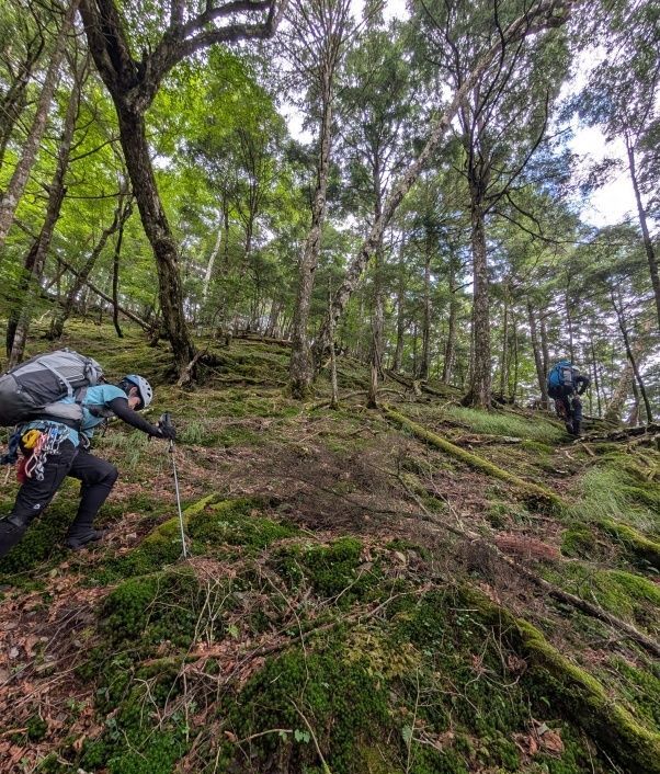 登山道に出る