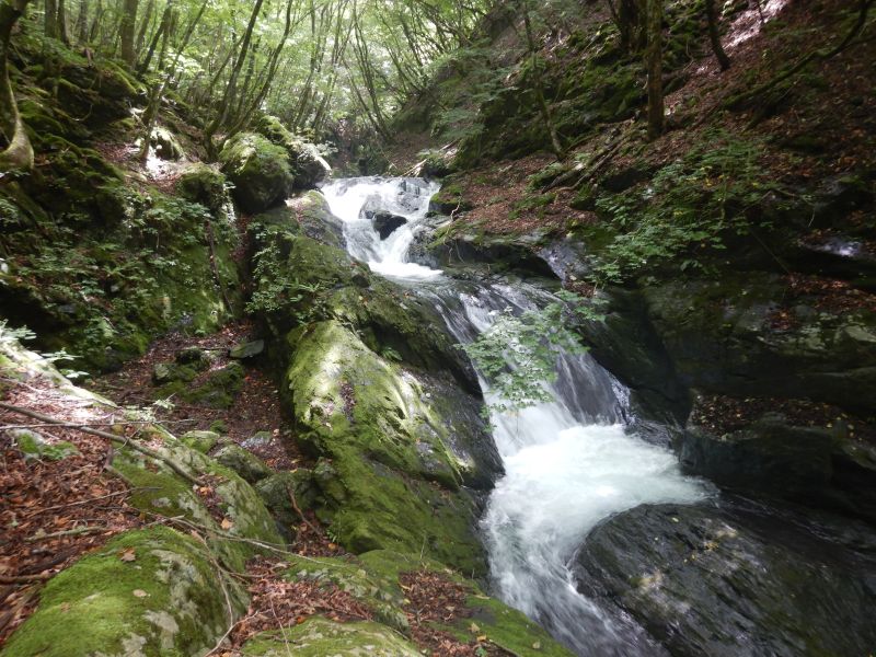 水量多い