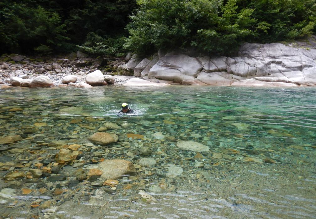 水泳